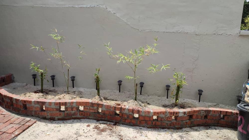 Homestay Tok Abah Seri Iskandar Exterior foto